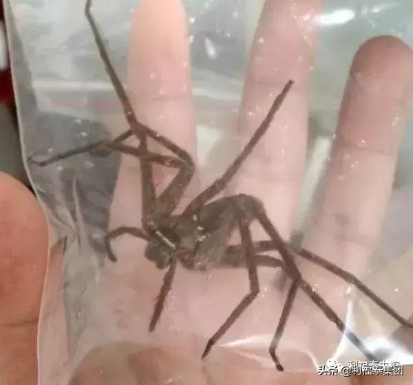 地方新闻 第67页